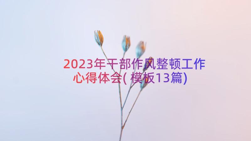 2023年干部作风整顿工作心得体会(模板13篇)