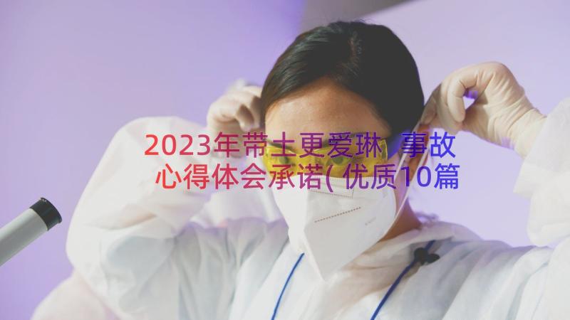 2023年带土更爱琳 事故心得体会承诺(优质10篇)