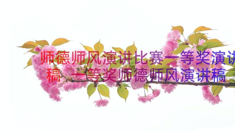 师德师风演讲比赛一等奖演讲稿 一等奖师德师风演讲稿(精选9篇)