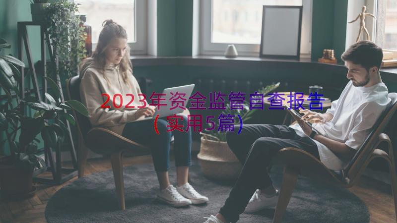 2023年资金监管自查报告(实用5篇)