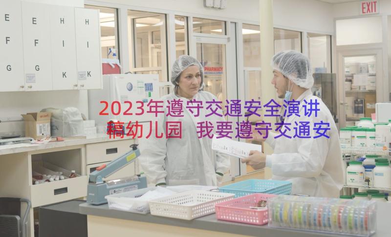 2023年遵守交通安全演讲稿幼儿园 我要遵守交通安全精彩演讲稿(优质8篇)