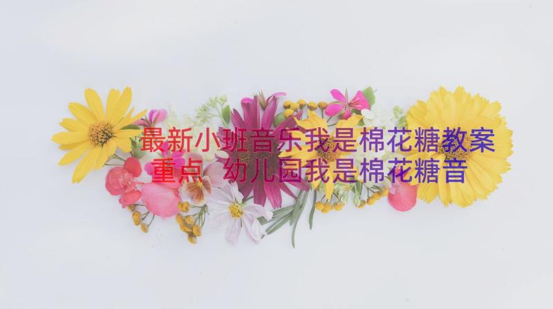 最新小班音乐我是棉花糖教案重点 幼儿园我是棉花糖音乐教案(大全8篇)