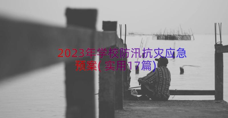 2023年学校防汛抗灾应急预案(实用17篇)