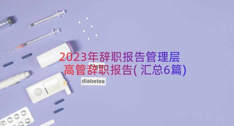 2023年辞职报告管理层 高管辞职报告(汇总6篇)