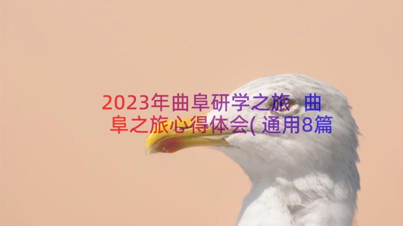 2023年曲阜研学之旅 曲阜之旅心得体会(通用8篇)