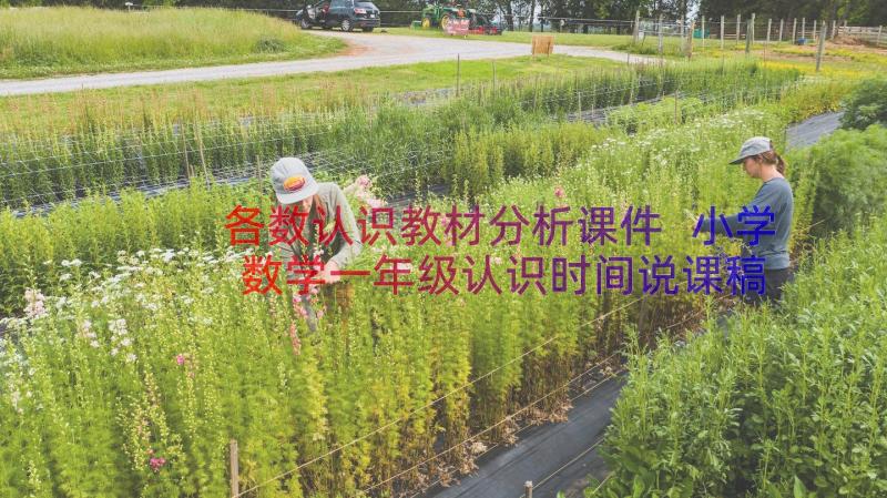 各数认识教材分析课件 小学数学一年级认识时间说课稿(大全7篇)