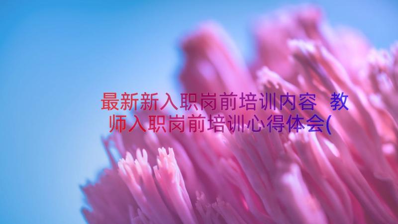 最新新入职岗前培训内容 教师入职岗前培训心得体会(精选13篇)