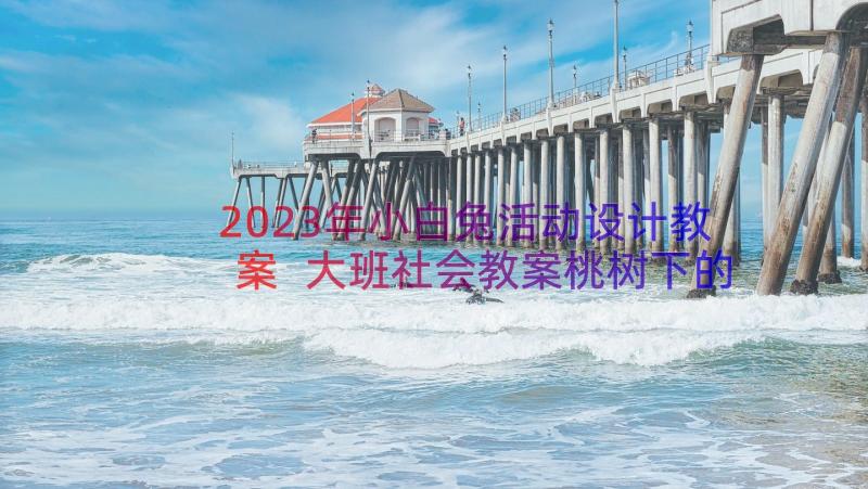 2023年小白兔活动设计教案 大班社会教案桃树下的小白兔(汇总8篇)