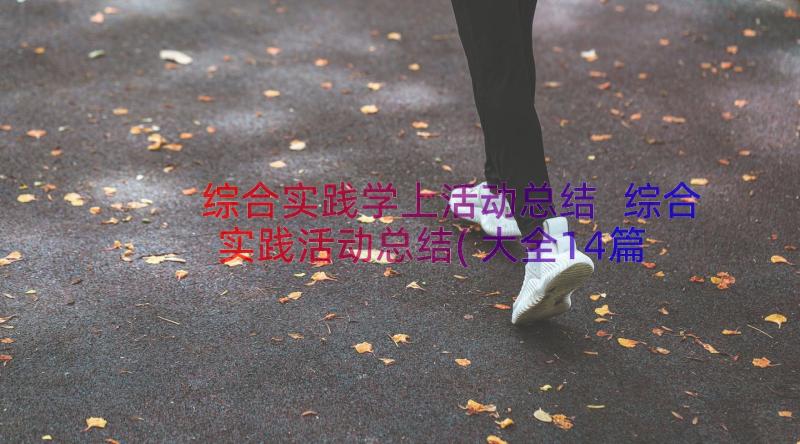 综合实践学上活动总结 综合实践活动总结(大全14篇)