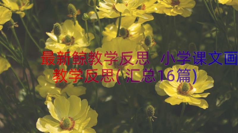 最新鲸教学反思 小学课文画教学反思(汇总16篇)