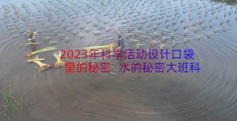 2023年科学活动设计口袋里的秘密 水的秘密大班科学教案(大全12篇)