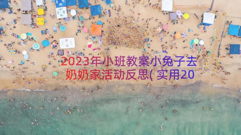 2023年小班教案小兔子去奶奶家活动反思(实用20篇)