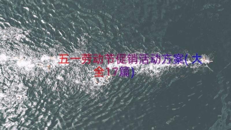 五一劳动节促销活动方案(大全17篇)