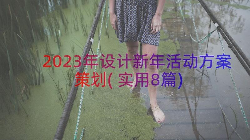 2023年设计新年活动方案策划(实用8篇)