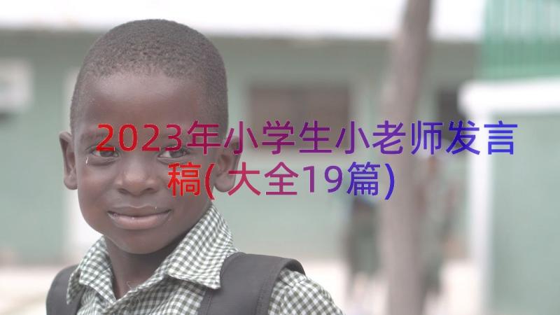 2023年小学生小老师发言稿(大全19篇)