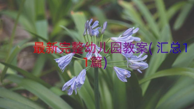 最新完整幼儿园教案(汇总11篇)