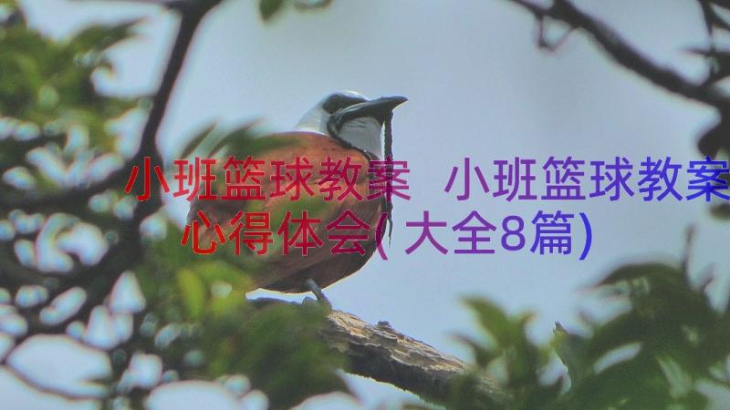 小班篮球教案 小班篮球教案心得体会(大全8篇)