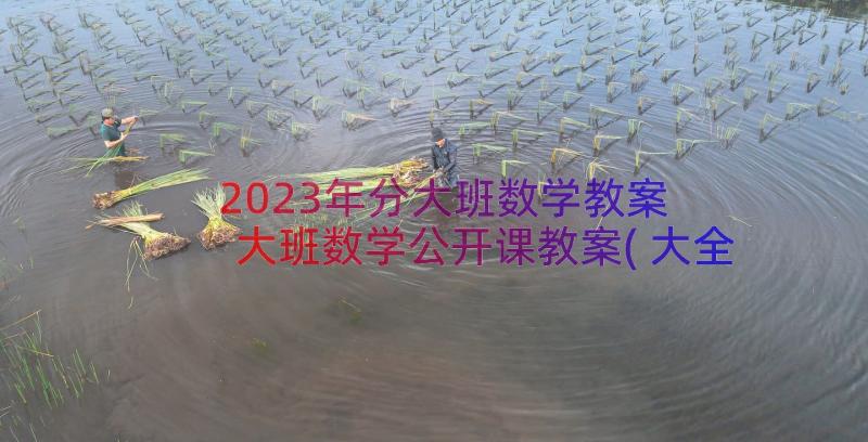 2023年分大班数学教案 大班数学公开课教案(大全9篇)