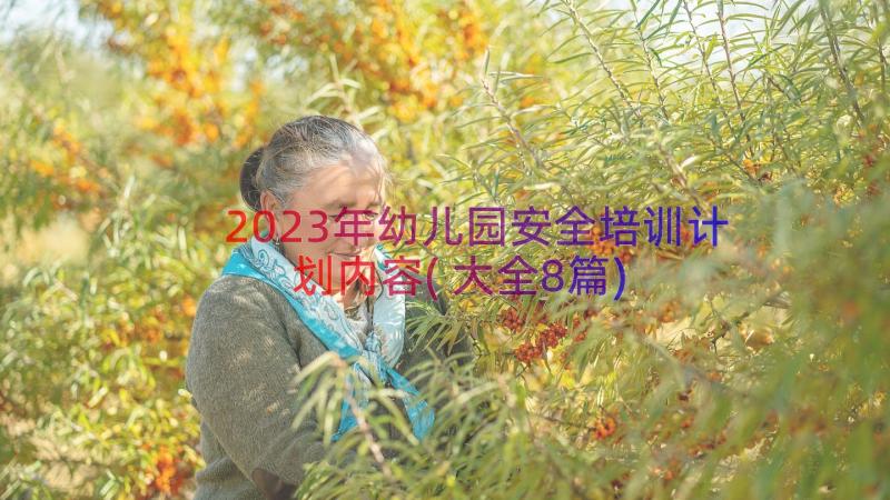 2023年幼儿园安全培训计划内容(大全8篇)