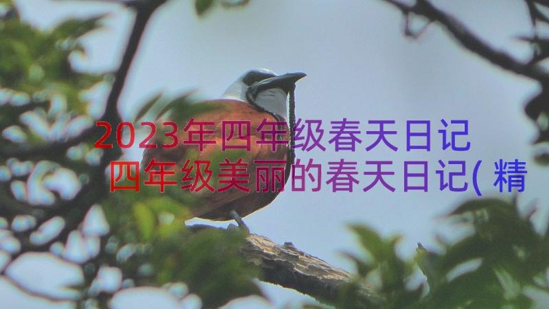 2023年四年级春天日记 四年级美丽的春天日记(精选8篇)