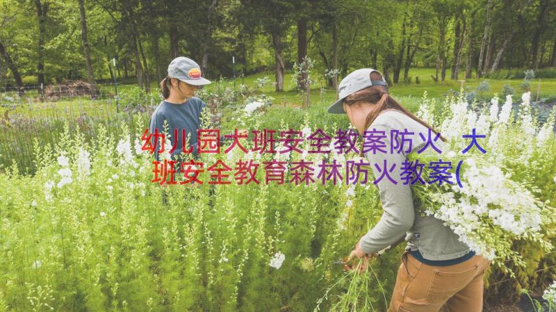 幼儿园大班安全教案防火 大班安全教育森林防火教案(实用8篇)