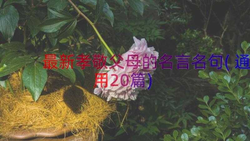 最新孝敬父母的名言名句(通用20篇)