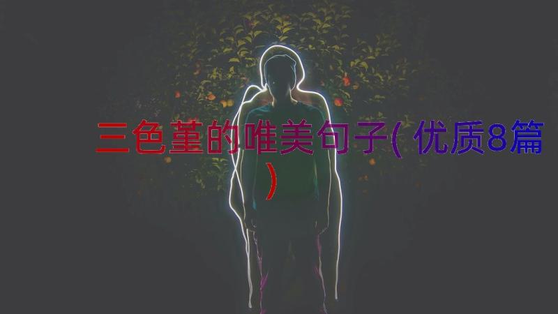 三色堇的唯美句子(优质8篇)