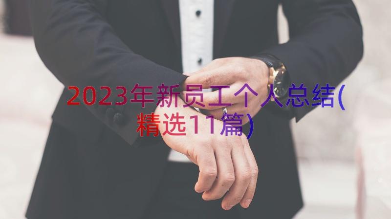 2023年新员工个人总结(精选11篇)