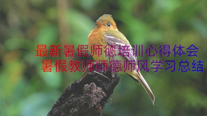 最新暑假师德培训心得体会 暑假教师师德师风学习总结(优质9篇)