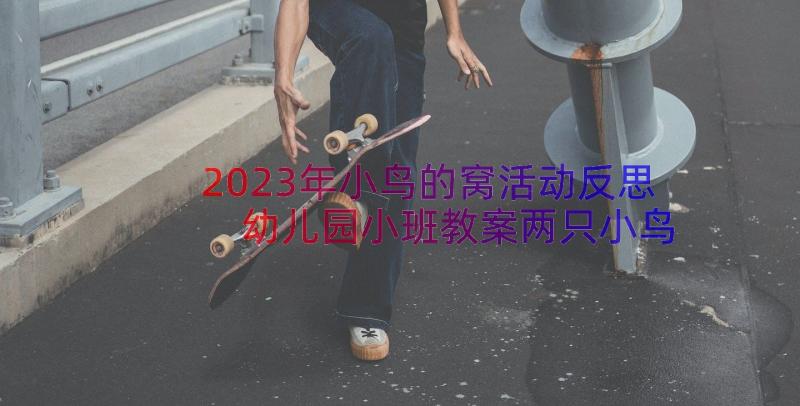 2023年小鸟的窝活动反思 幼儿园小班教案两只小鸟(优秀14篇)