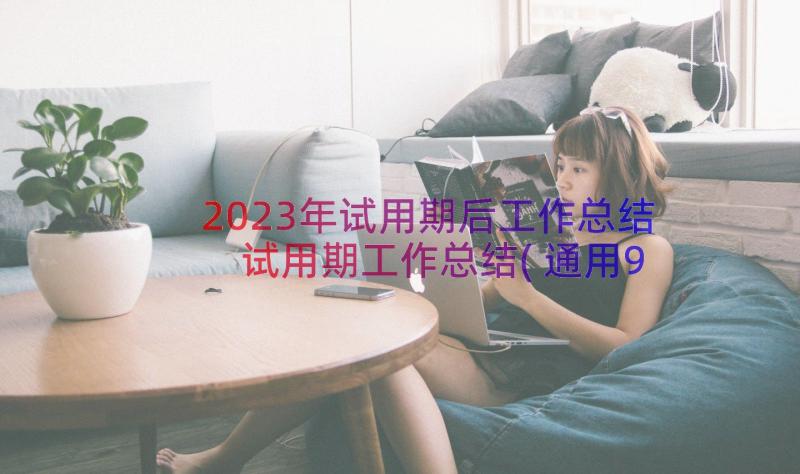 2023年试用期后工作总结 试用期工作总结(通用9篇)