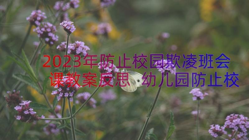 2023年防止校园欺凌班会课教案反思 幼儿园防止校园欺凌教案(汇总13篇)