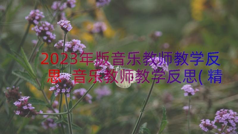 2023年版音乐教师教学反思 音乐教师教学反思(精选12篇)