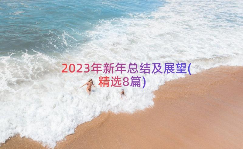 2023年新年总结及展望(精选8篇)