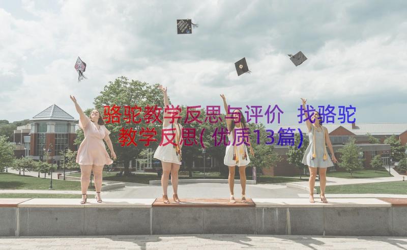 骆驼教学反思与评价 找骆驼教学反思(优质13篇)