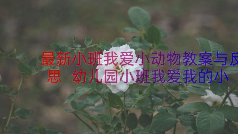 最新小班我爱小动物教案与反思 幼儿园小班我爱我的小动物教案(优秀8篇)