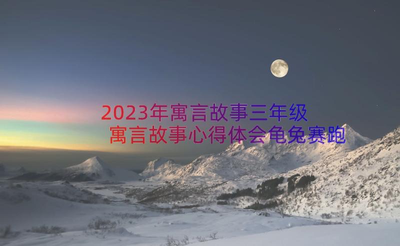 2023年寓言故事三年级 寓言故事心得体会龟兔赛跑(汇总10篇)