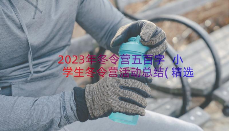 2023年冬令营五百字 小学生冬令营活动总结(精选8篇)