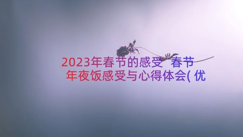2023年春节的感受 春节年夜饭感受与心得体会(优秀19篇)