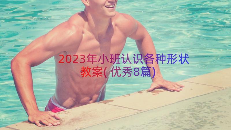 2023年小班认识各种形状教案(优秀8篇)