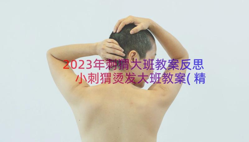 2023年刺猬大班教案反思 小刺猬烫发大班教案(精选10篇)