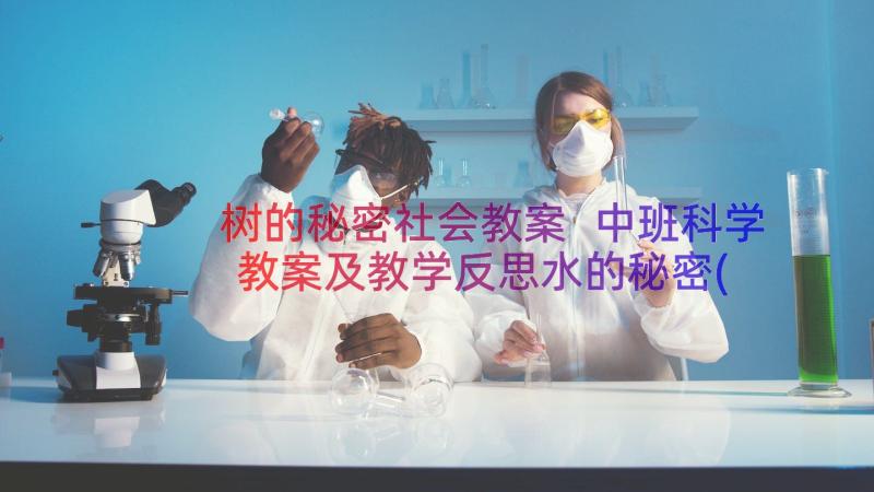 树的秘密社会教案 中班科学教案及教学反思水的秘密(实用14篇)