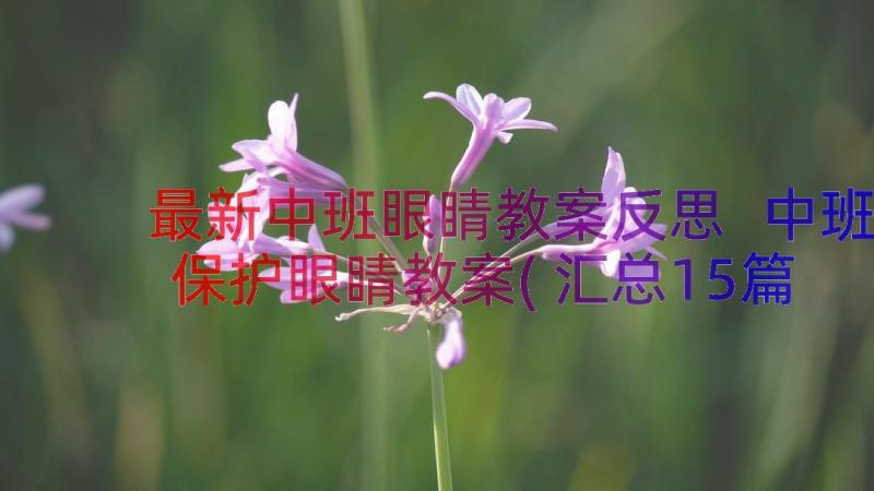 最新中班眼睛教案反思 中班保护眼睛教案(汇总15篇)