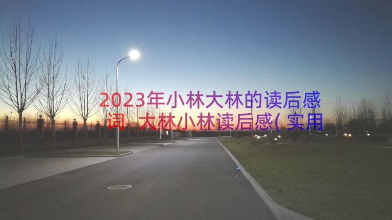 2023年小林大林的读后感词 大林小林读后感(实用20篇)