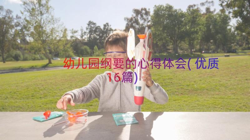 幼儿园纲要的心得体会(优质16篇)