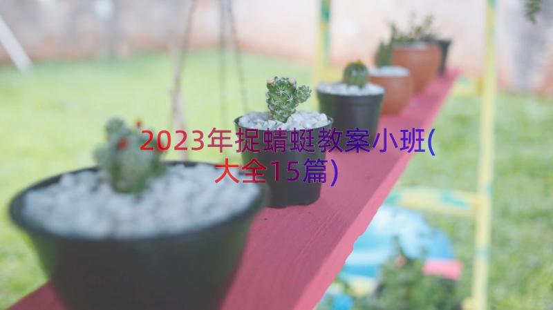 2023年捉蜻蜓教案小班(大全15篇)