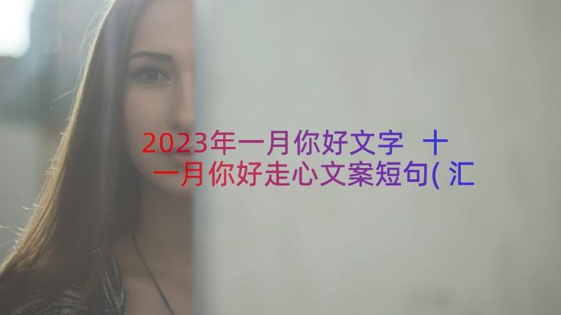 2023年一月你好文字 十一月你好走心文案短句(汇总16篇)