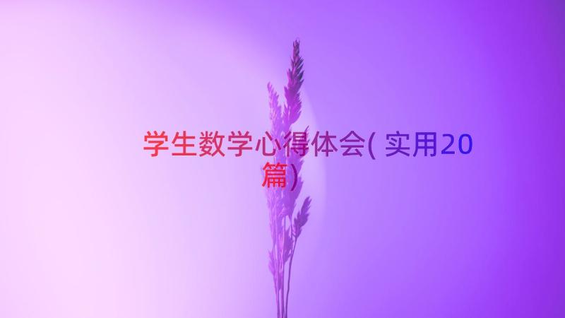 学生数学心得体会(实用20篇)