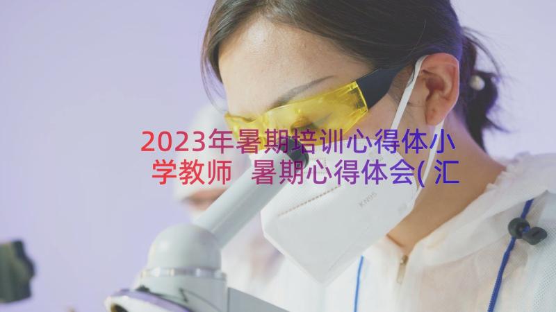 2023年暑期培训心得体小学教师 暑期心得体会(汇总9篇)