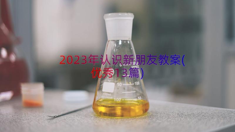 2023年认识新朋友教案(优秀13篇)